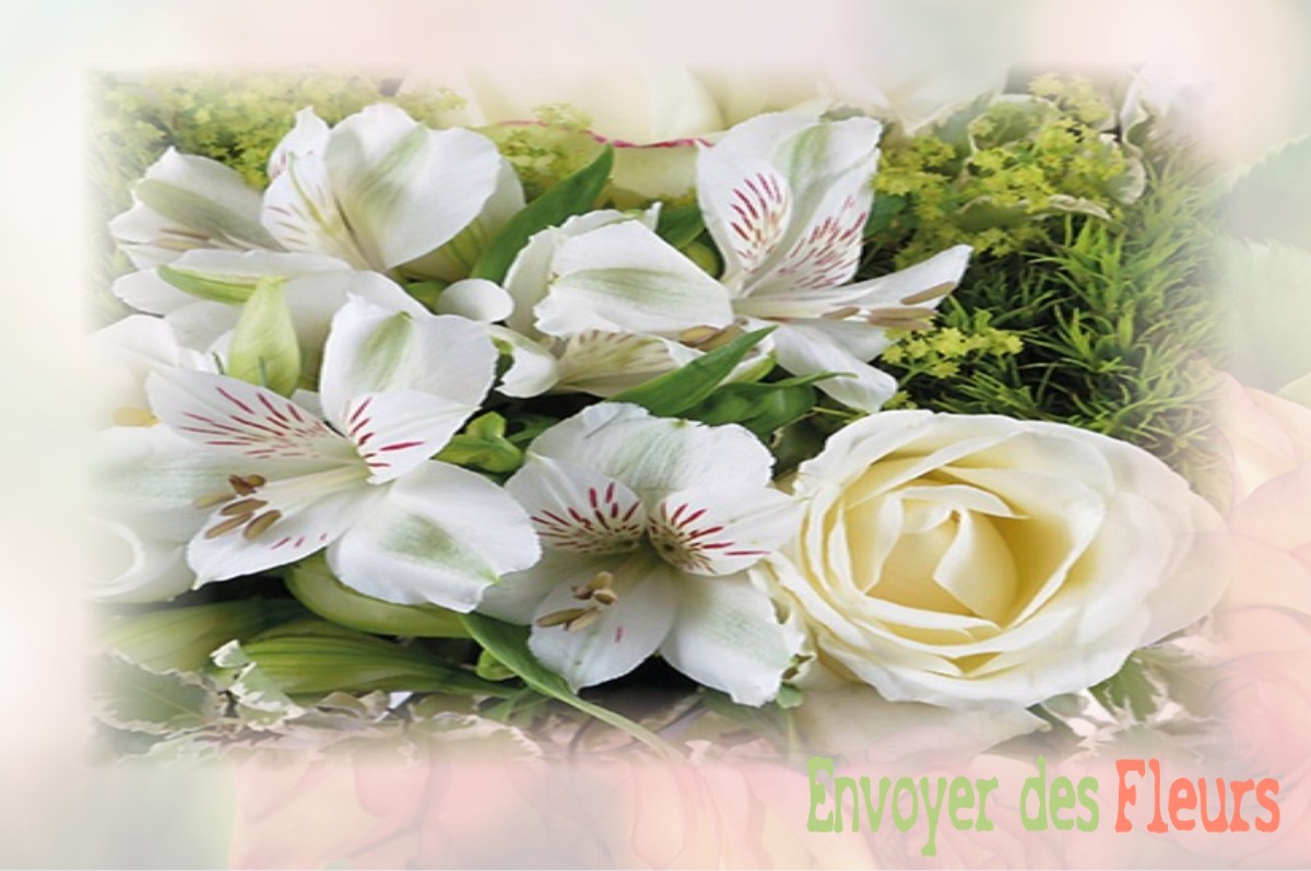 envoyer des fleurs à à DIENNES-AUBIGNY